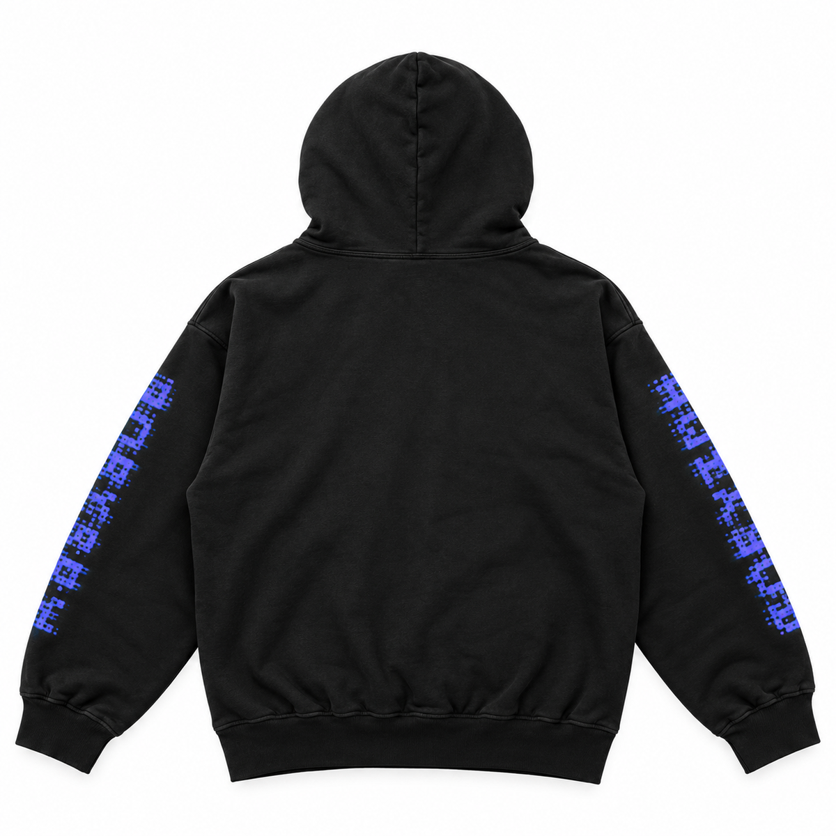 2026 COACHELLA HOODIE